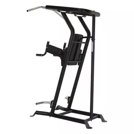 Inspire vkr vertical knee raise powertower 5