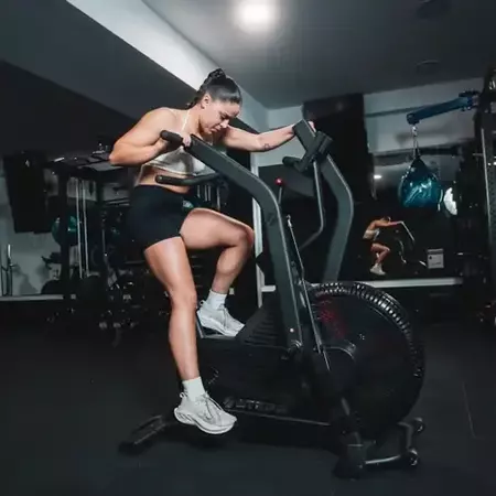 Stepr bionic bike xl vpr air bike 6