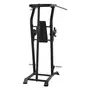 Inspire vkr vertical knee raise powertower 2
