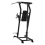 Inspire vkr vertical knee raise powertower 3