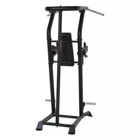 Inspire vkr vertical knee raise powertower 2