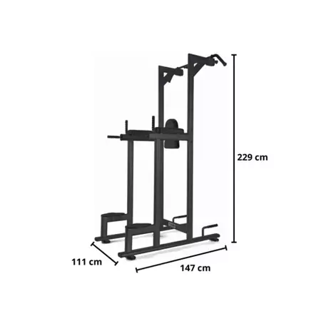 Toorx professional wbx b2800 chin dip leg raise 1